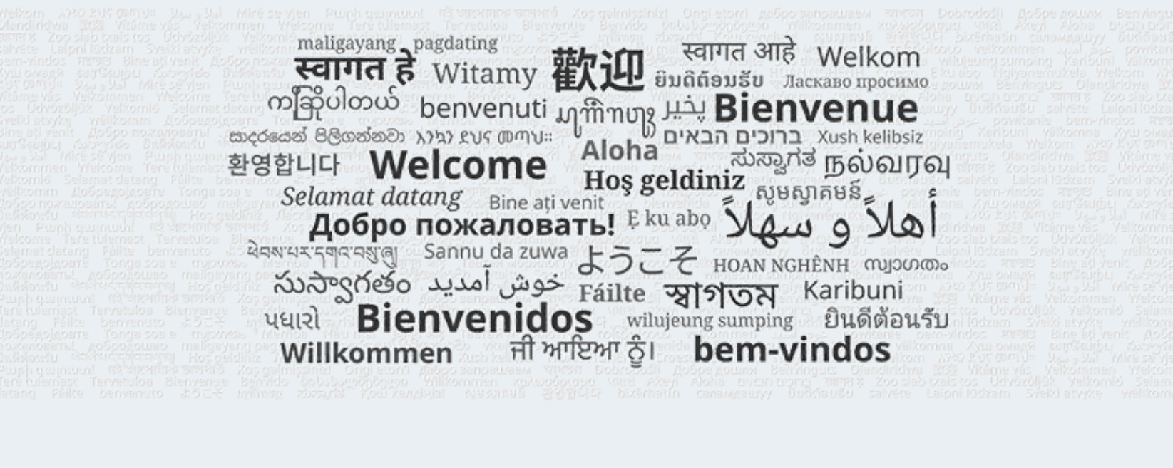 Add Multiple Languages on Voting