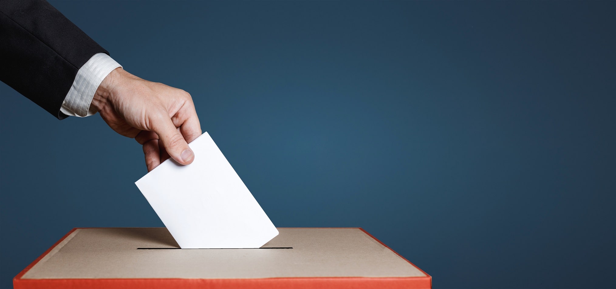 ballot voting online